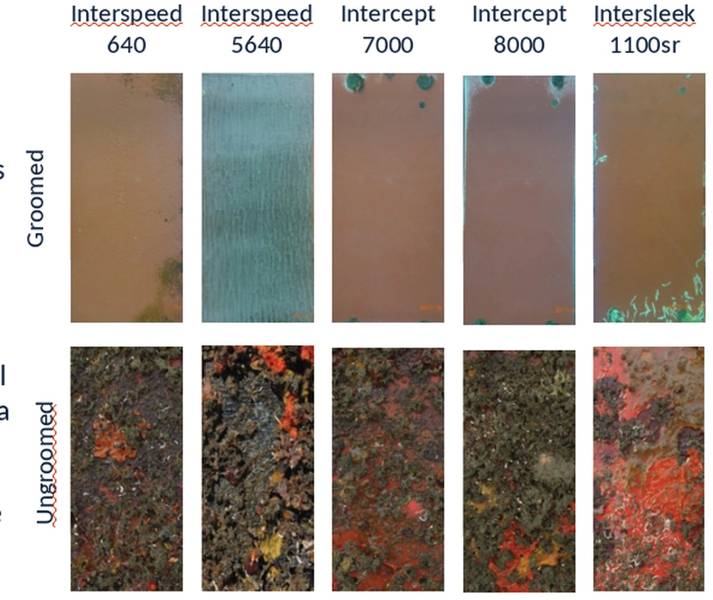 Dois anos de aliciamento. Painéis revestidos de 6 pol. X 12 pol. Preparados semanalmente (em cima) em comparação com painéis deixados sem alisamento (embaixo). Foto cedida por Greensea Systems