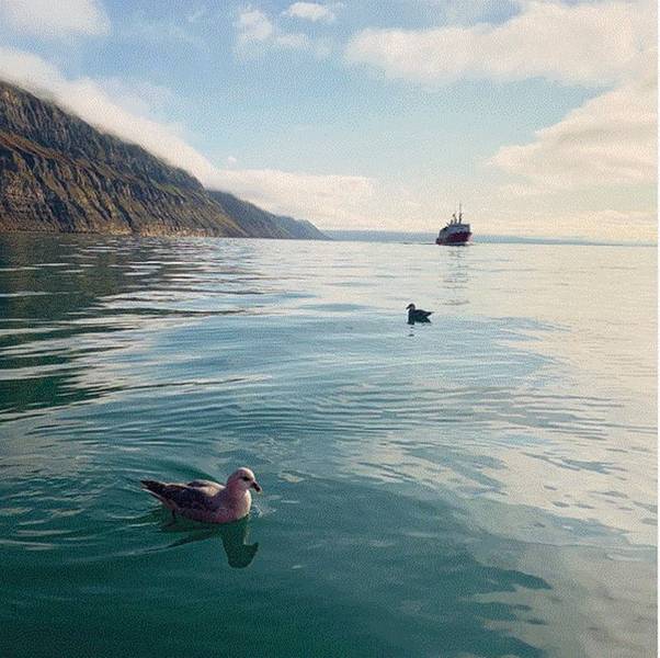 Longyearbyen ist die größte Stadt in Spitzbergen und wird möglicherweise einer der ersten Großverbraucher von grünem Wasserstoff oder Ammoniak aus Windparks in der Finnmark. Fotokredit Besuchen Sie Spitzbergen.