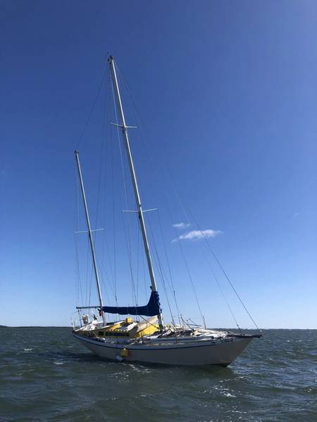 Um veleiro de 45 pés fica encalhado em Crystal River, segunda-feira, 16 de abril de 2018. Um boatcrew da Estação de Guarda Costeira Yankeetown resgatou Jack Baird, de 76 anos, do veleiro. (Foto da Guarda Costeira dos EUA)