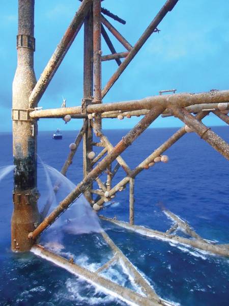 لينغ المشتركة ، Molva molva ، تسبح بين الموائل شبه الشعاب المرجانية التي أنشأتها البنية التحتية للنفط والغاز. صورة من الموقع.