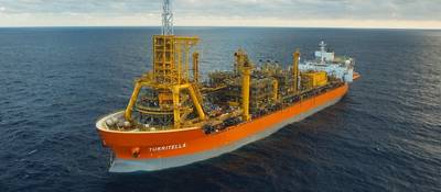Turritella (Foto: Shell)