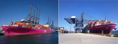 Um primeiro porta-contêineres magenta no Porto de Yantian, na China. Foto: Ocean Network Express (Ásia Oriental). Ltd.