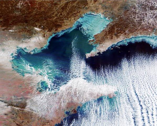 Una imagen satelital del 26 de enero muestra el hielo marino en el norte de China (Foto: Centro Nacional de Pronóstico Ambiental Marino de China)