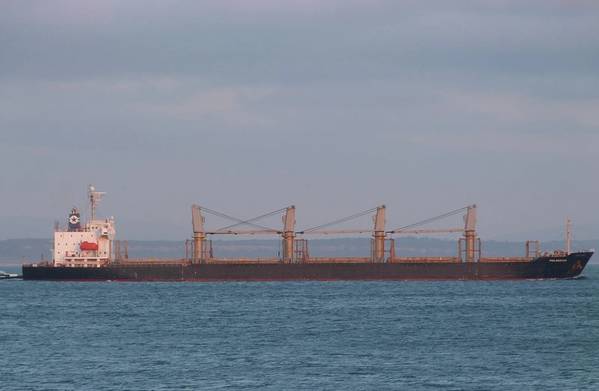 وبحسب ما ورد أطلقت روسيا صواريخ على السفينة بريموس التي ترفع العلم الليبيري في ميناء أوديسا على البحر الأسود. (© بيدرو أمارال / MarineTraffic.com)
