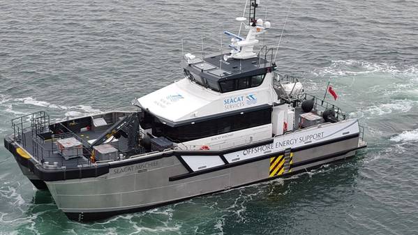 写真：Seacat Mischief（写真：Seacat）