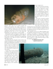 Marine Technology Magazine, page 32,  Jan 2007