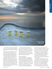 Offshore Engineer Magazine, page 117,  Aug 2014