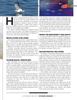 Offshore Engineer Magazine, page 37,  Nov 2025