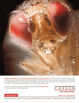 2nd Cover