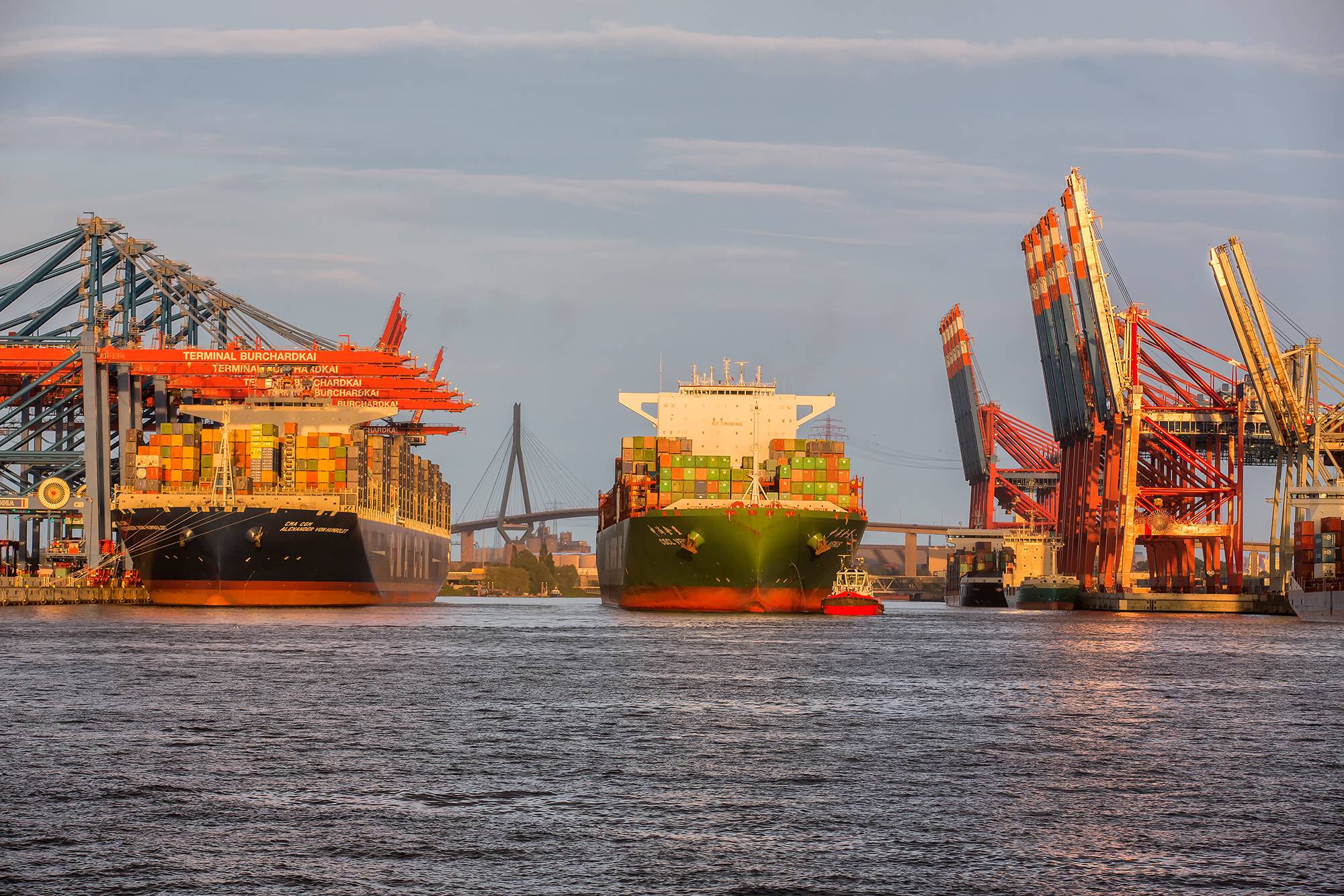  Port Of Hamburg  Reports Cargo Downturn
