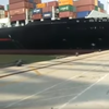Video: CMA CGM Box Ship Smashes Into Dock