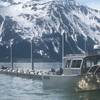 A 27’ Alaska Fish & Game patrol boat (Photo: North River Boats)