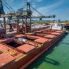 A bulk carrier loads alongside a grain berth. (c) Stock87 / Adobestock