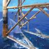 A common ling, Molva molva, swims amongst an almost coral reef-like habitat created by oil and gas infrastructure. Image from Insite.