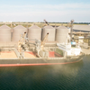  A grain carrier in a Ukrainian port back in 2021 - ©Elena/AdobeStock