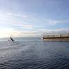 A local barge underway near the port of Everett (CREDIT: port of Everett)