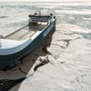 A rendering of the new RoRo vessel (Image: Wallenius SOL)