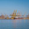 © Adobe Stock/Cleop6atra