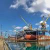 © Adobe Stock/multipedia