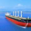 Anemoi Rotor Sails on U-Ming's Grand Pioneer (Credit: Anemoi Marine Technologies)