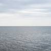© Christin Boggs Peyper / Adobe Stock