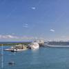 Cruise Ships Port Everglades (c) Studio Barcelona / AdobeStock