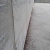 Dead weevils along a wall of a bulk terminal warehouse (Photo: ABTO)