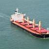 File photo: Star Bulk