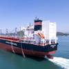 Green Future bulk carrier (Credit: NYK Group)