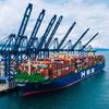 HMM Algeciras has taken the title of world's largest containership. (Photo: YICT)