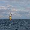 Image: Makani