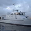 Metal Shark Wins $54 Mln US Navy Contract
