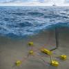 Image: Mocean Energy