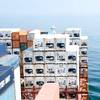 Image: MPC Container Ships