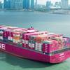 Image: Ocean Network Express