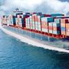 Image: Quantum Pacific Shipping Services