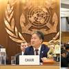 Pic: International Maritime Organization (IMO)