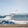 © junce11 / Adobe Stock