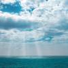 © lotusjeremy / Adobe Stock