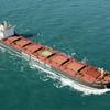 (L-R) m/v Crystalia and m/v Maera. Pic: Diana Shipping Inc.