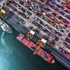 © MAGNIFIER / Adobe Stock