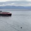 MS Roald Amundsen (File photo: Hurtigruten)