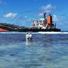 MV Wakashio ran aground on a coral reef off Mauritius, spilling 1000 tonnes of a new type of marine fuel oil, Image courtesy Curtin University