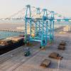 Photo: Abu Dhabi Ports