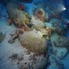 Ancient Shipwrecks Found in Greek Waters Tell Tale of Trade Routes