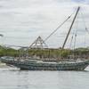 Boat Built with Recycled Plastic to Highlight Pollution
