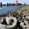 Photo: Ries van Wendel de Joode, Port of Rotterdam