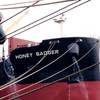 Star Bulk Carriers Acquires 16 Vessels