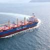 Pic: Pacific Basin Shipping Limited