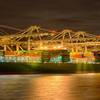 Pic: Ship Finance International